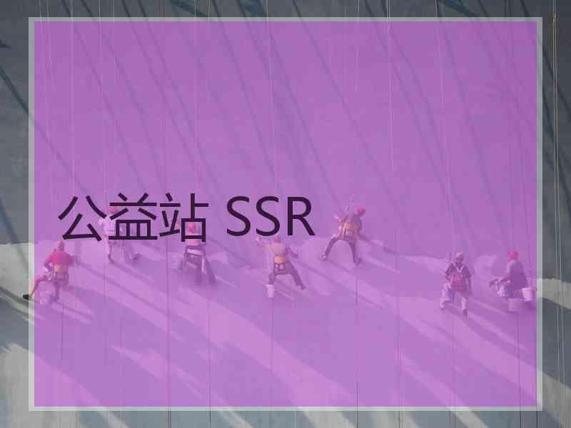 公益站 SSR