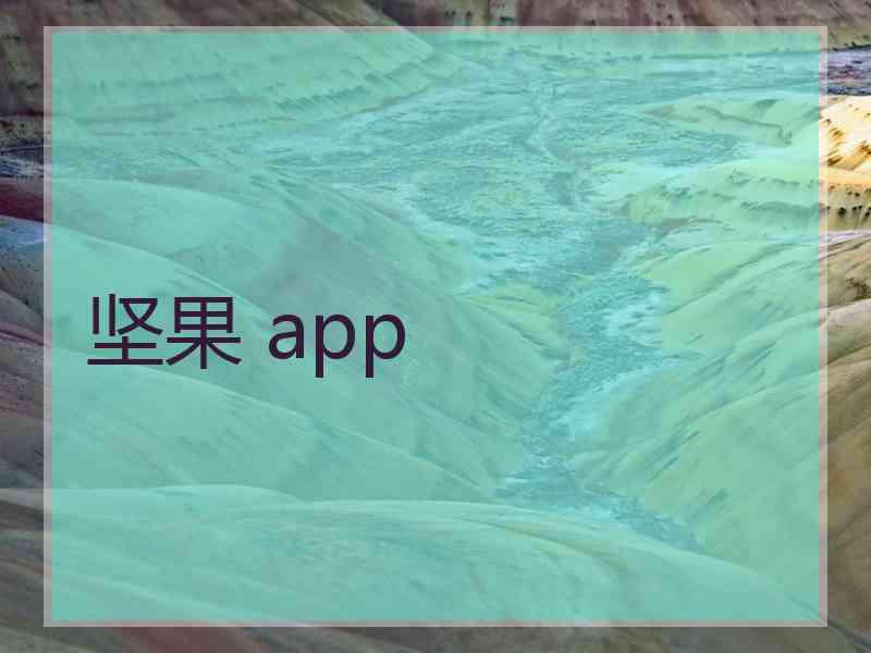 坚果 app