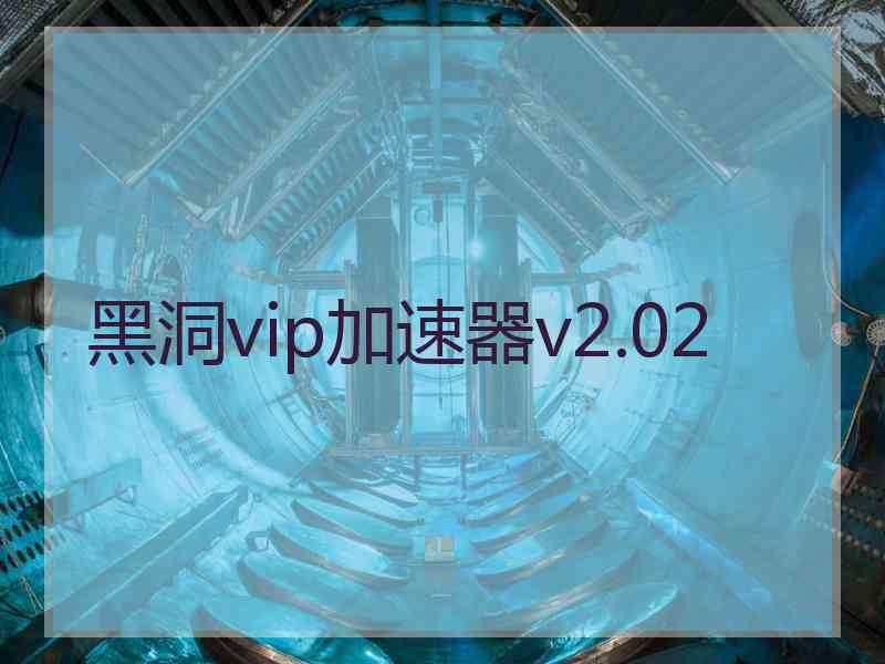黑洞vip加速器v2.02